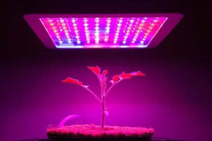 1000 LED Full Spectrum Indoor Grow Medicinal Veg & Flower Light_2