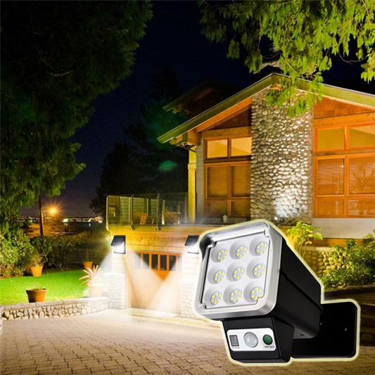 Solar Powered Outdoor Light With Remote_0