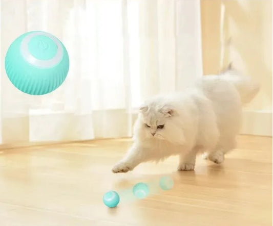 USB Charging Automatic 360 Degree Automatic Pet Rolling Ball For Puppy Cats Kitten - Blue_0
