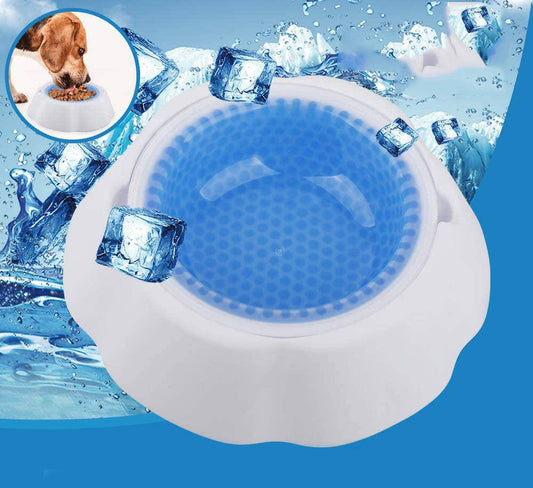 Frosty Bowl Chilled Pet Water Bowl_0